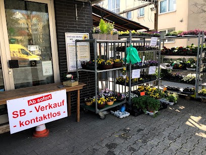 Blumen Pfeiffer Floristik, Blumenladen in Neu-Isenburg