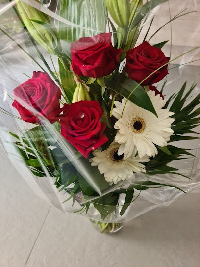 Blumengeschäft Hans Steinauer, Blumenladen in Augsburg