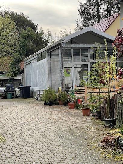 Kranzmacherei Regine Kahle, Blumenladen in Kirchheim unter Teck