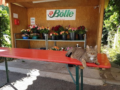 Bölle Schnittrosen, Blumenladen in Schwaikheim