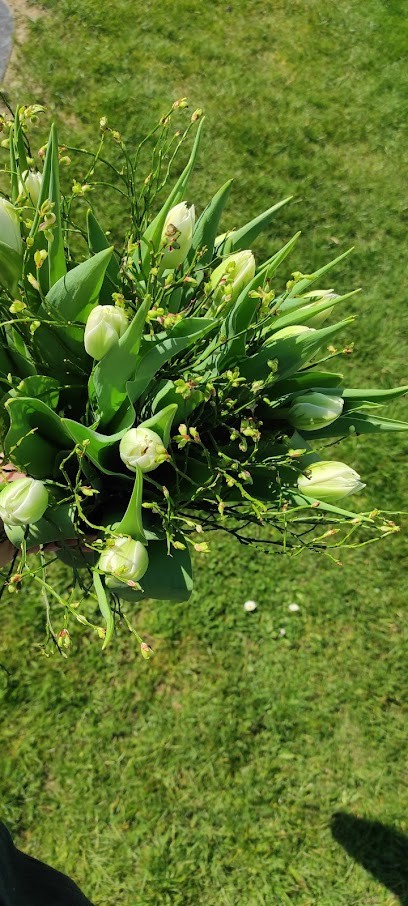 Blumenwerkstatt, Blumenladen in Hollenstedt