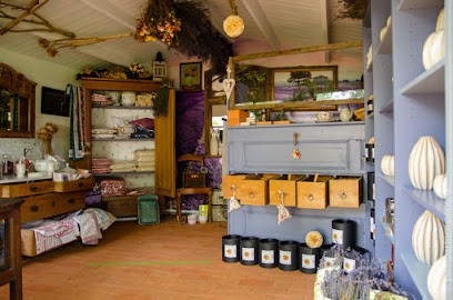 WILDWUCHS, Blumenladen in Oranienbaum-Wörlitz