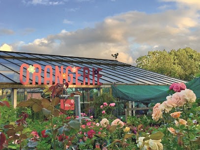 Blütenreich, Blumenladen in Aachen