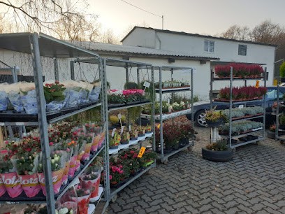 Isabels Blumeninsel, Blumenladen in Ingelbach