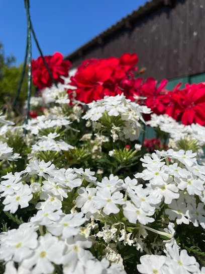 Heuer's Hoff Pflanzen & Mehr, Blumenladen in Haldensleben