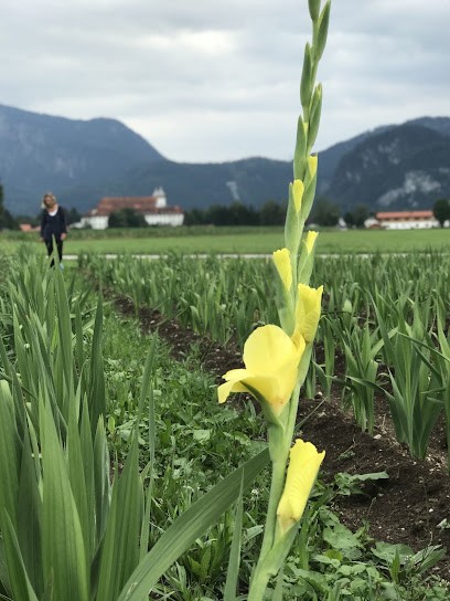 Blumen zum Selberschneiden, Blumenladen in Schlehdorf