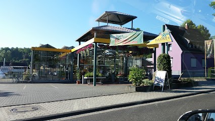 Hammer Floristik & Gärtnerei, Blumenladen in Sinzig