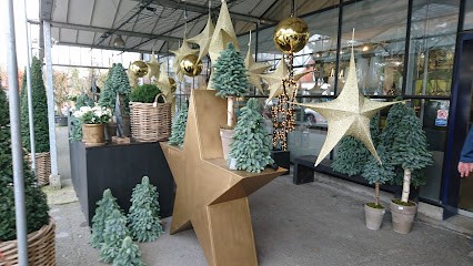 Blumen Dahlmann, Blumenladen in Munster