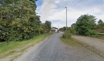 Floristik Thöne, Blumenladen in Grebenstein