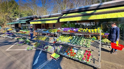 Blumen Krause Elegien-Küster GbR, Blumenladen in Düsseldorf