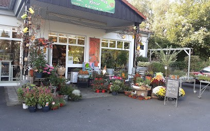 Blumenhaus A. Rosse, Blumenladen in Lauchhammer