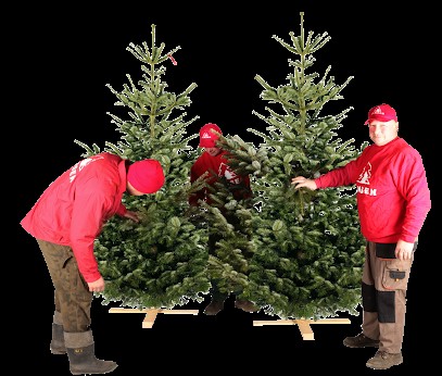 Weihnachtsbaum Hamburg Tannenbaum Verkauf, Blumenladen in Otter