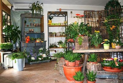 Memory - moderne Floristik, Blumenladen in Schellerten