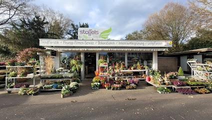 Stoffels - Florale Gestaltungen, Blumenladen in Düsseldorf