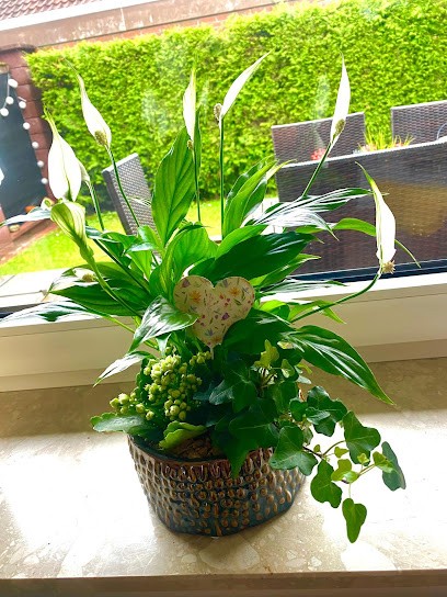 Blume Ideal, Blumenladen in Westerstede