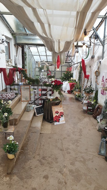 Blumen Gärtnerei Waizenegger, Blumenladen in Herrenberg