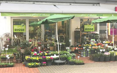Blumen Risse Blumenladen Dortmund-Hombruch, Blumenladen in Dortmund