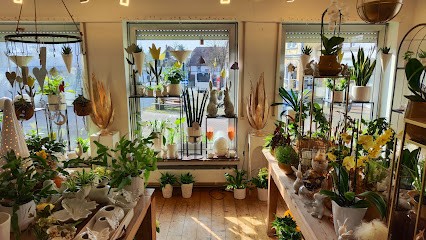 Der Blumenladen Inh. Beate Reese, Blumenladen in Extertal