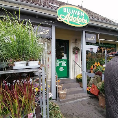 Blumen Adolphs, Blumenladen in Hillesheim