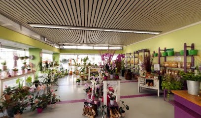 Blumenwerk Donaueschingen | Iris Duttlinger, Blumenladen in Donaueschingen