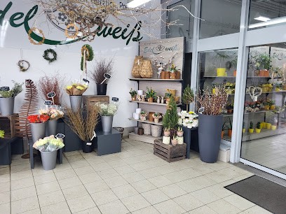 Blumen Edelweiß Bad Kissingen Garitz, Blumenladen in Bad Kissingen