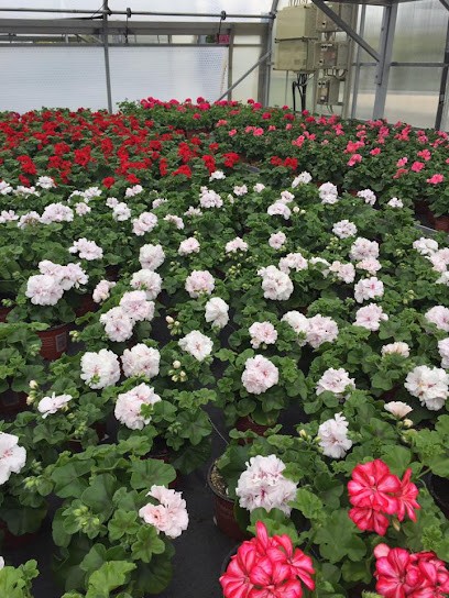 Gärtnerei Klein, Blumenladen in Lisberg