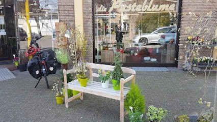 Die Pusteblume I&S Dautzenberg GbR, Blumenladen in Herzogenrath