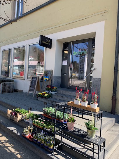 die blume, Blumenladen in Schwäbisch Gmünd