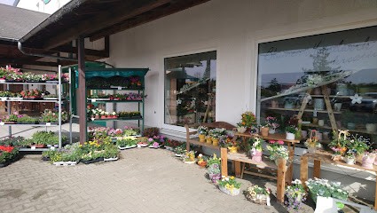 Die Blumenbude, Inh. Manja Junghanns, Blumenladen in Großschirma