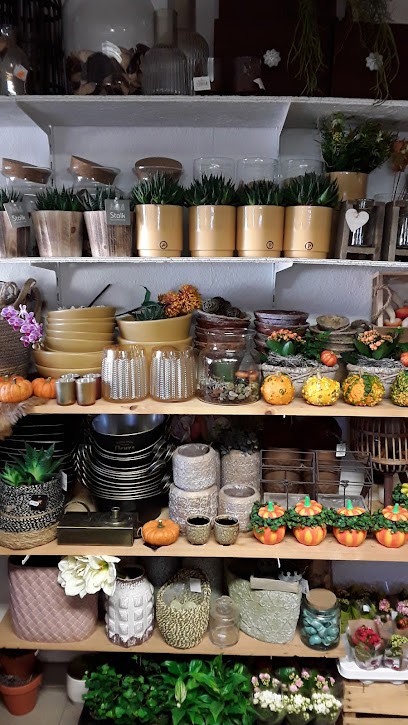 Annett Tuchscheerer Floristik-Gänseblümchen, Blumenladen in Scheibenberg