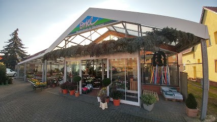 Blumen-Ortel, Blumenladen in Neubrandenburg