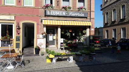 Blumengeschäft und Gärtnerei W. Hurrlein, Blumenladen in Hammelburg