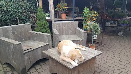 Das kleine Landhaus, Blumenladen in Westerngrund