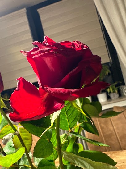 Blumen Kersting, Blumenladen in Havixbeck