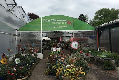 Blumen Eber, Blumenladen in Gundelfingen an der Donau