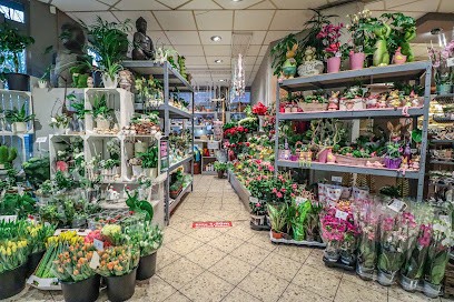 Blumen Spangenberg Moers, Blumenladen in Moers