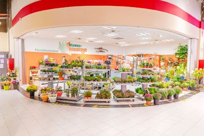 Blumen Nicolaye, Blumenladen in Aachen