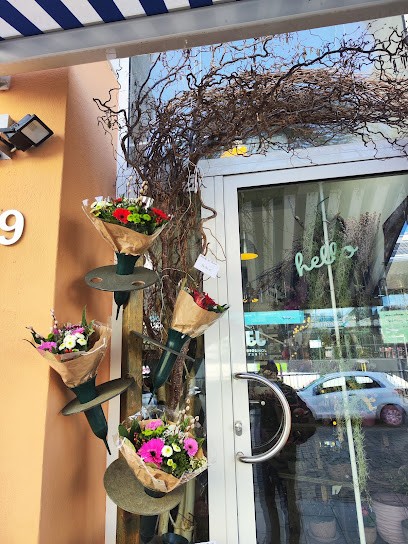 Blumenwelt Breedijk GmbH, Blumenladen in Passau