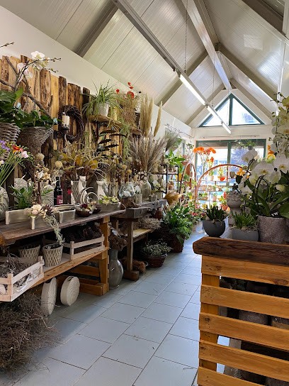 Domus Florum Ihr Blumenladen, Blumenladen in Rudolstadt