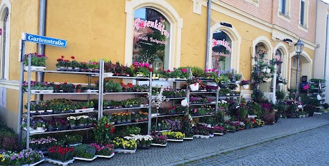 Floristik-Fachgeschäft Rosenkäfer, Blumenladen in Golßen