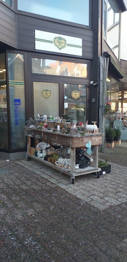 Blumen Piet, Blumenladen in Korbach