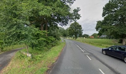 Piet Meinen GmbH & Co., Blumenladen in Osterholz-Scharmbeck