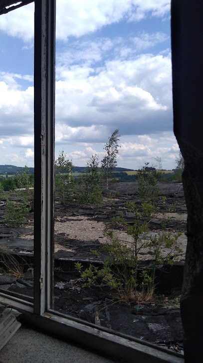 Karin Baunacke Blumengeschäft Filiale Plauen, Blumenladen in Plauen