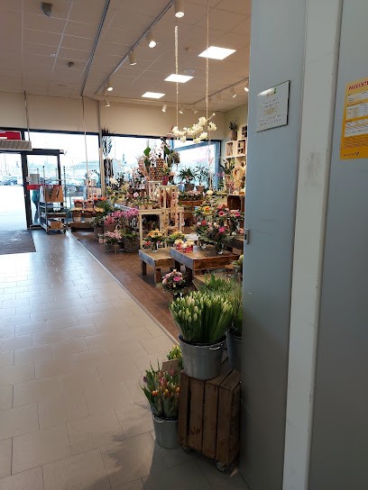 Flora-point Blumenshop GmbH, Blumenladen in Schwerte