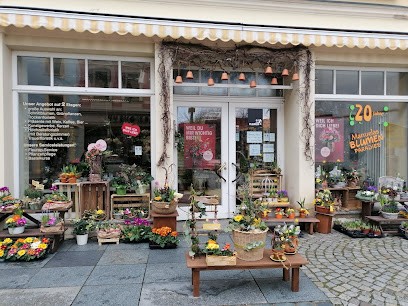 Blumenfachgeschäft Manuelas Blumenparadies, Blumenladen in Bautzen