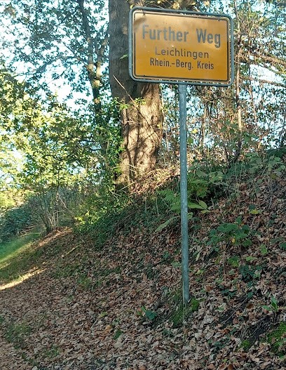 Leichlinger Blumenkorb, Blumenladen in Leichlingen