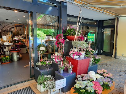 Blumen Meer Gärtnerei & Floristik, Blumenladen in Reichenschwand