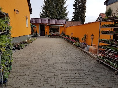 Blumen Und Pflanzenhof Diana Weber, Blumenladen in Wanzleben-Börde