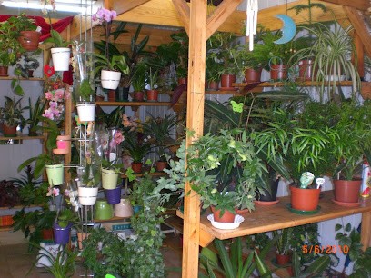 Blumenhaus & Gärtnerei Schneider, Blumenladen in Zahna-Elster