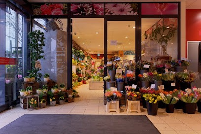 Die Holländerin, Blumenladen in Eitorf